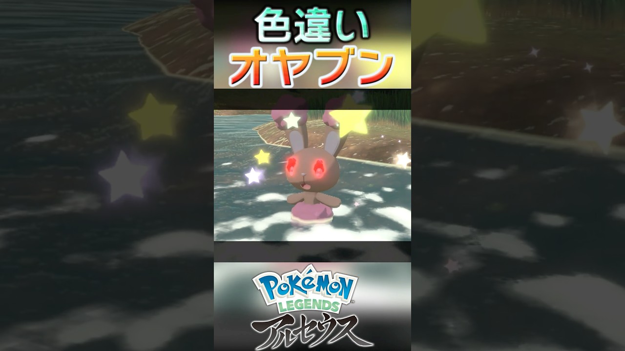 戦闘！色違いオヤブンミミロル #shorts