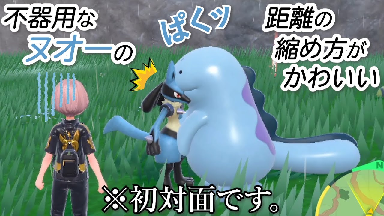 俺のヌオー、初対面のルカリオへの距離の縮め方が不器用で可愛い【ポケモンSV】