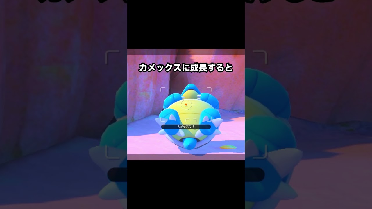 あまりに無防備なカメックスが可愛すぎる#ポケモン #newポケモンスナップ