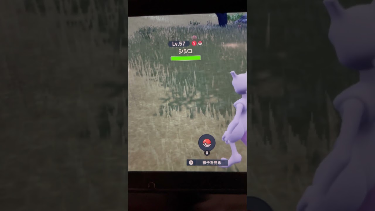 透明になったシシコと出会いました［ポケモンSV］スカーレットバイオレット