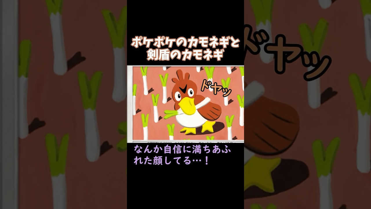 ポケポケのカモネギと剣盾のカモネギ