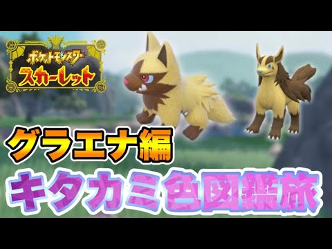 #6 キタカミ色図鑑完成旅　グラエナ編　【ポケモンSV】　【碧の仮面】
