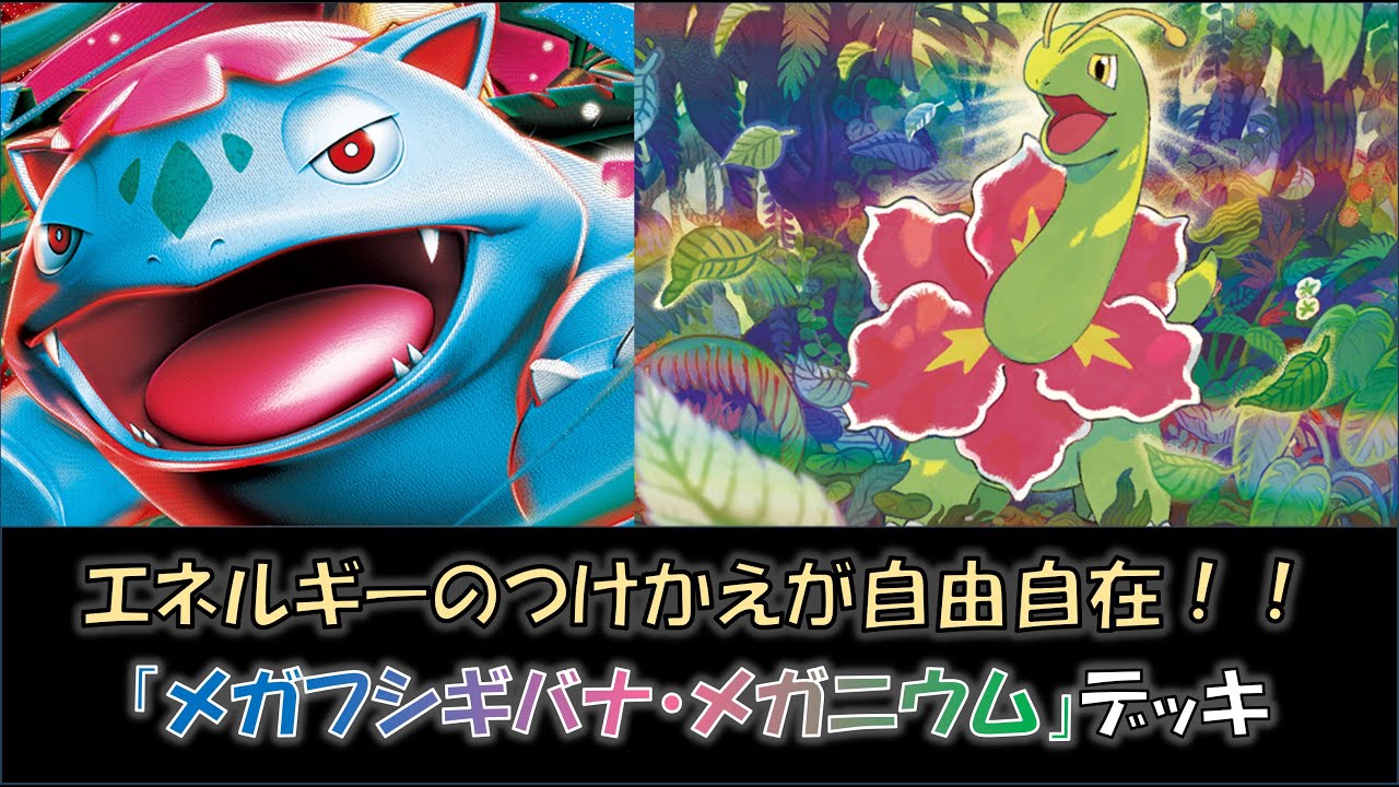 【ジムバ優勝】『メガフシギバナ・メガニウム』デッキをご紹介！