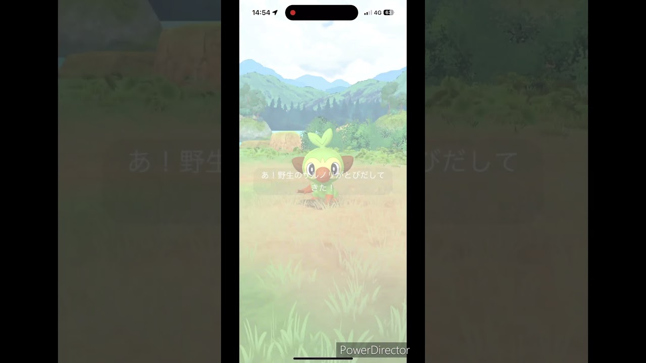 大サルノリ #ポケモンgo #pokemon #ポケgo #サルノリ