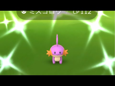 ポケモンgo 色違いミズゴロウゲットチャレンジ　色違いヌマクローと色違いラグラージまで一気に進化させてみた　復刻コミュニティデイ