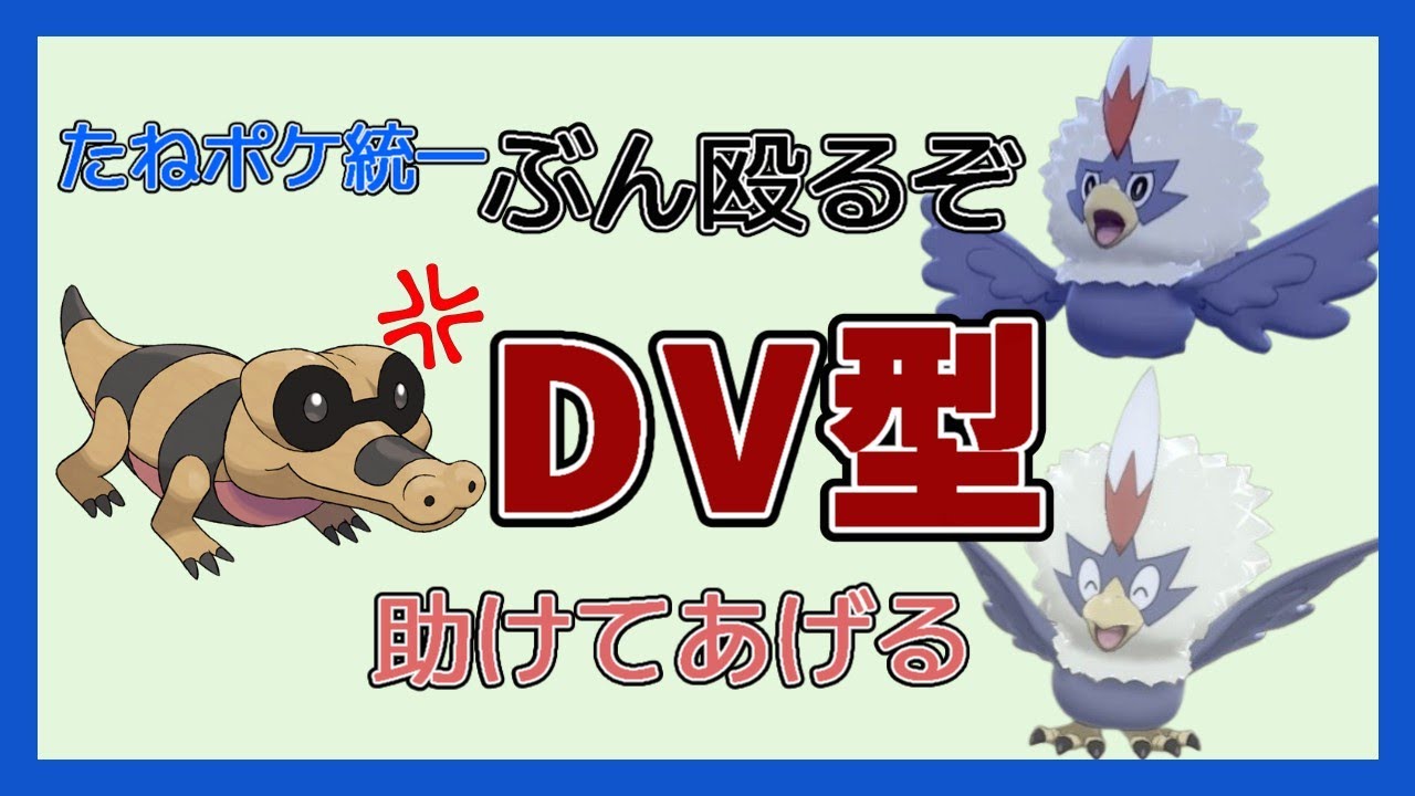 【たねポケ統一】DV型ワシボンでメグロコを怒らせるたねポケダブル