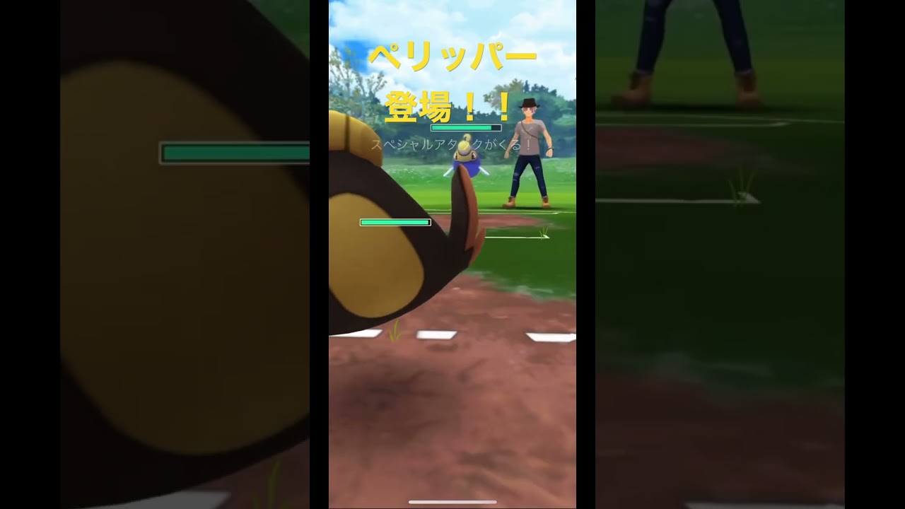 ペリッパー登場！！【Pelipper】