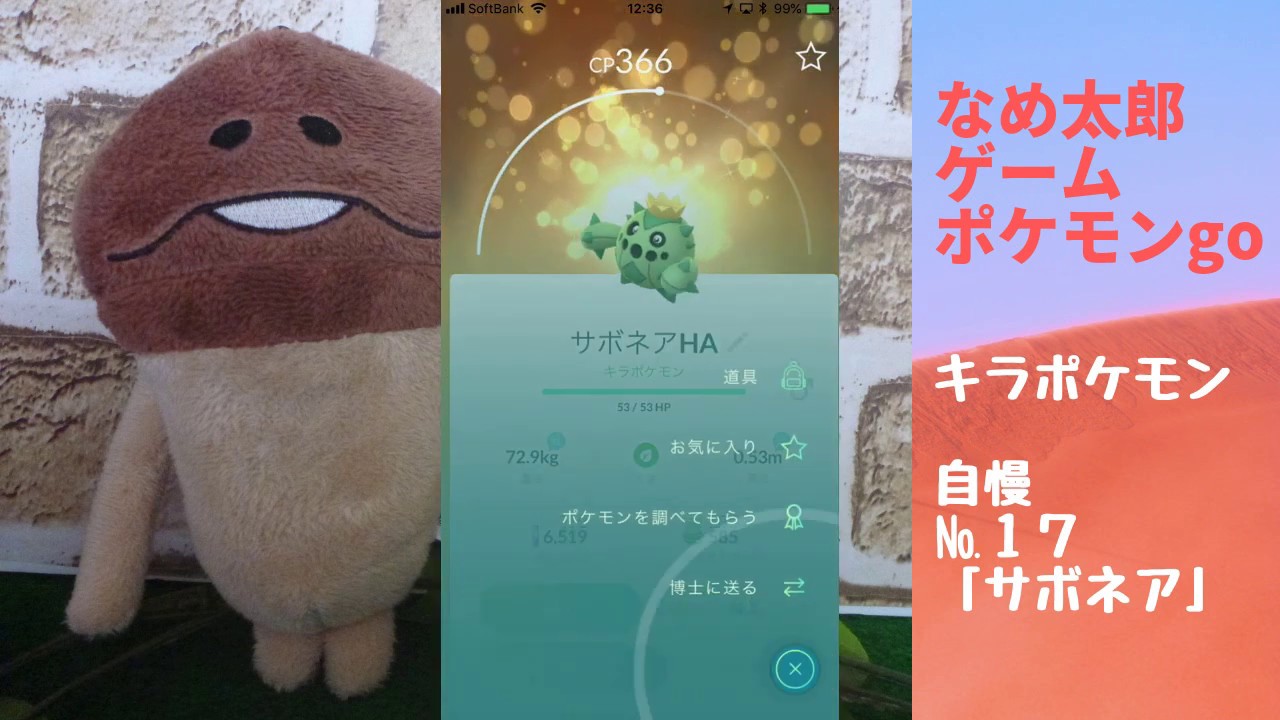 【ポケモンgo】なめ太郎のキラポケモン自慢コーナーナンバー１７、「サボネア」