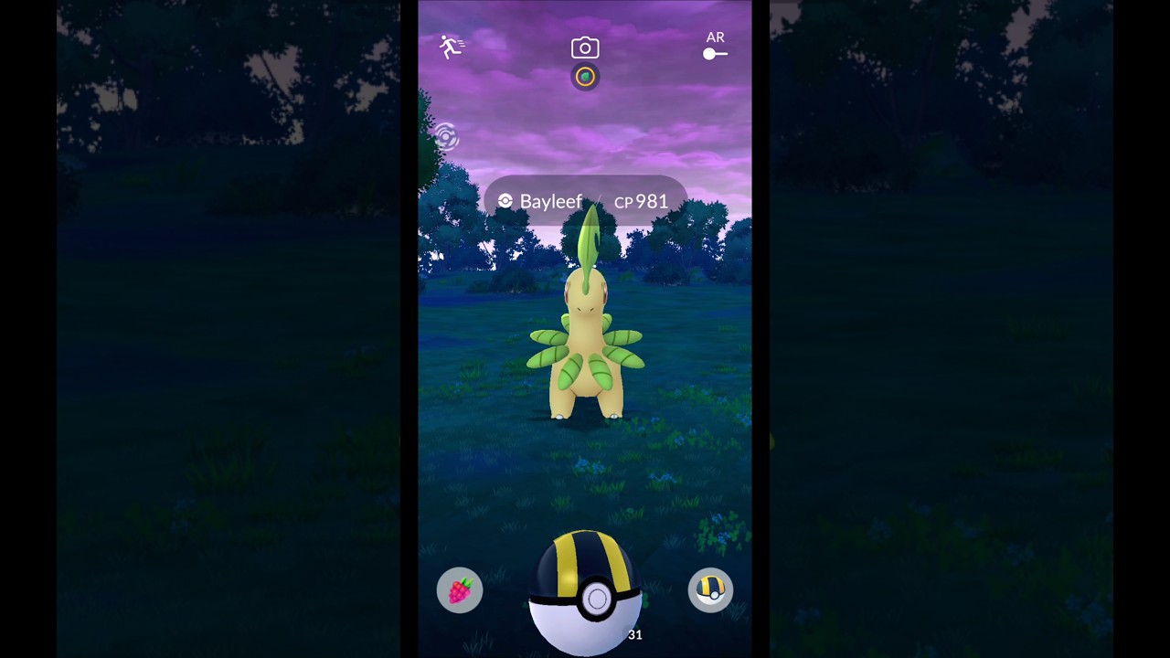 I Found Bayleef CP 981 | Pokemon GO #Shorts #Bayleef #PokémonGO