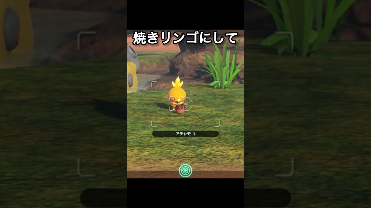 賢い？！アチャモ　#ポケモン #アチャモ #ゲーム実況