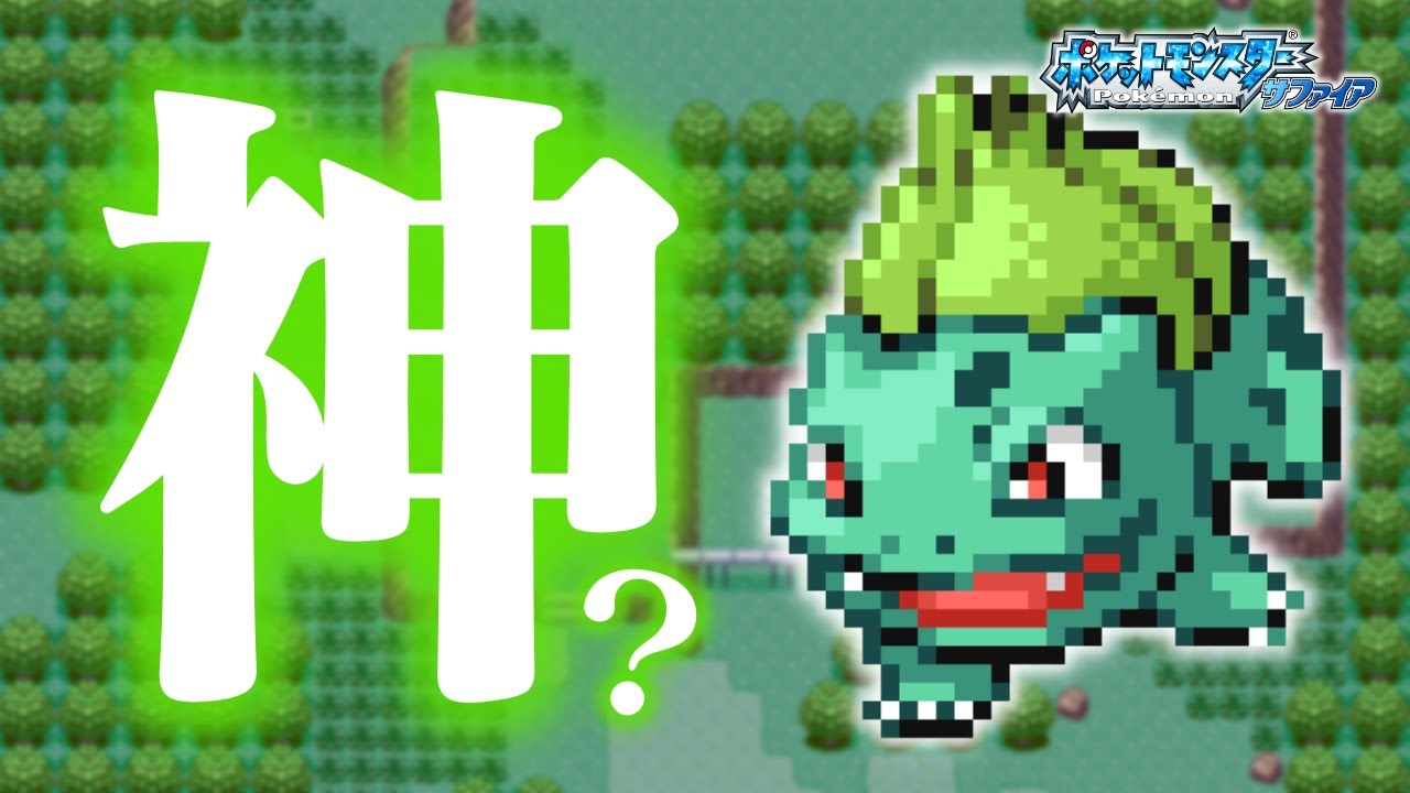 フシギダネLv.5で冒険始めたらルビサファはキツい？ヌルい？