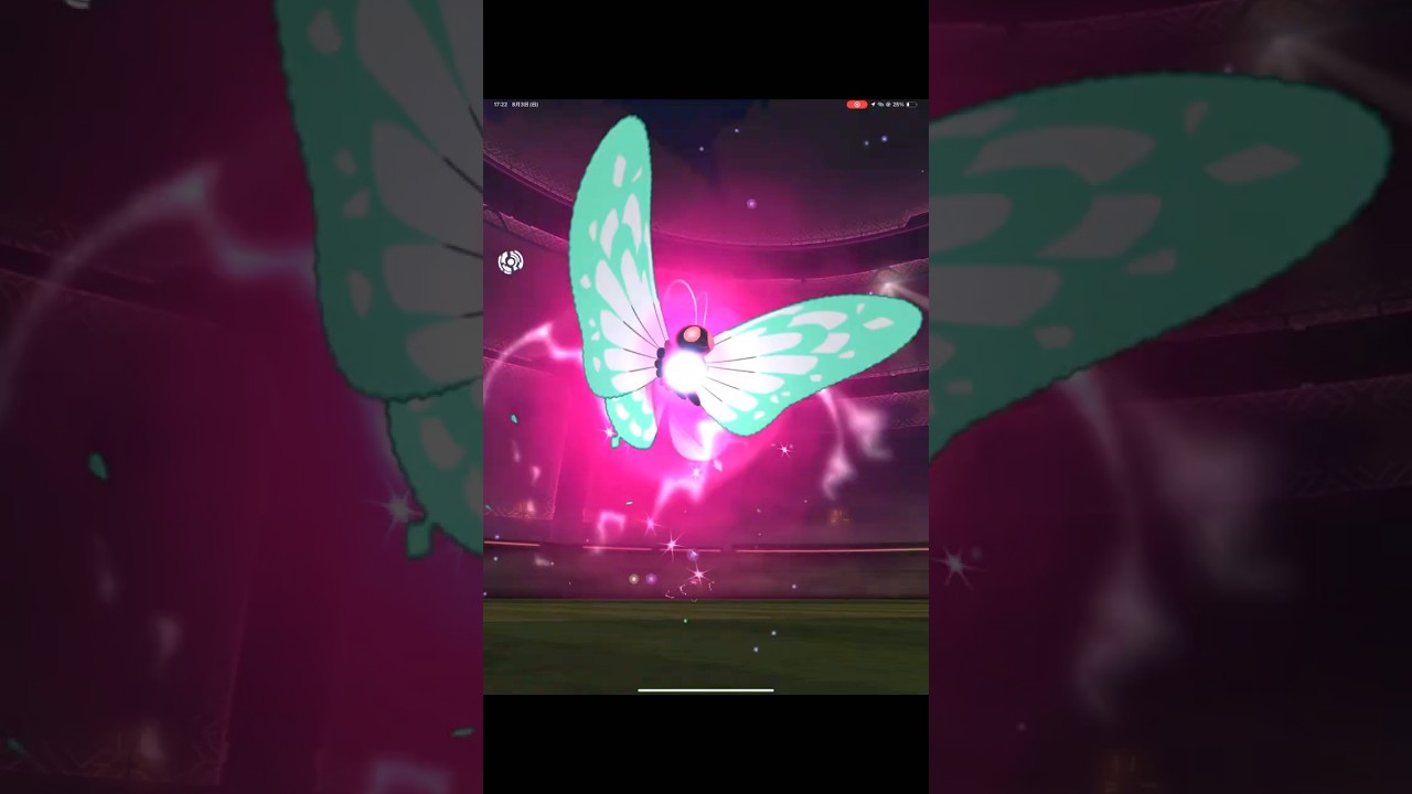 、、、キ、キョダイコワクっ！！#ポケモンGO#キョダイマックスバタフリー#pokemonGO