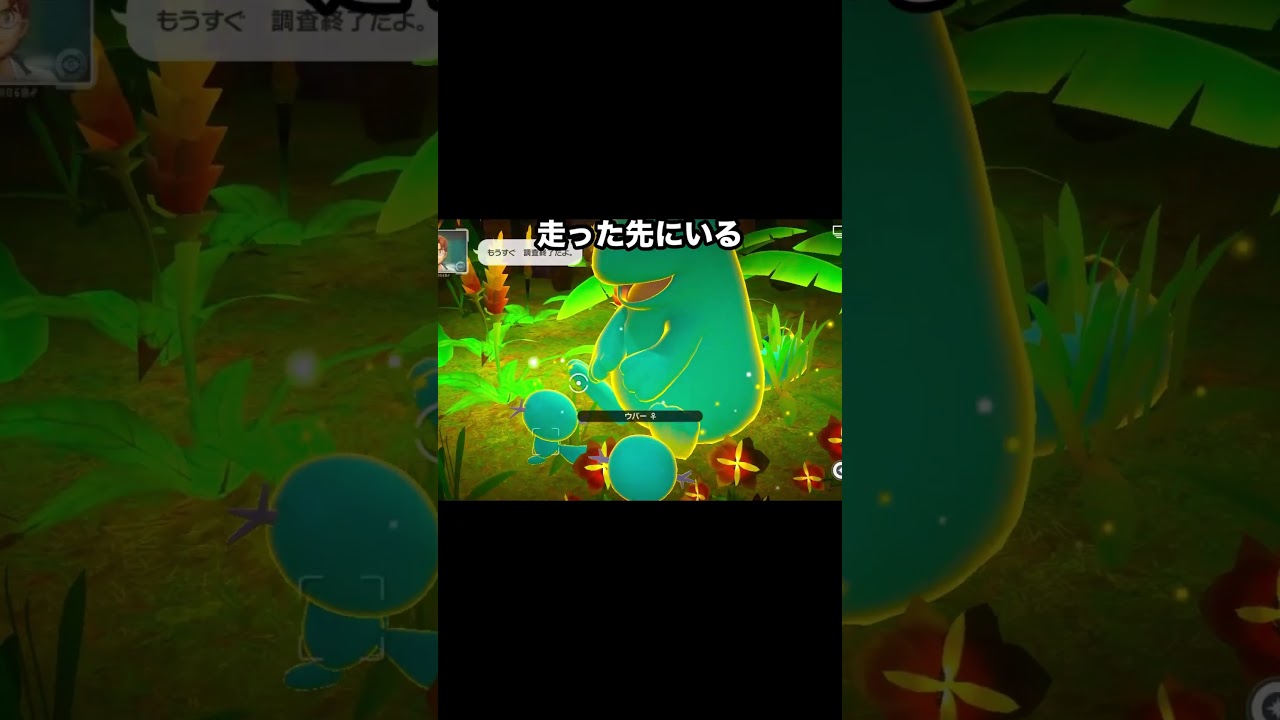 ぐっすり眠るウパーの兄弟 #ポケモン #newポケモンスナップ