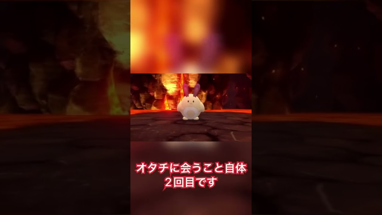 【ポケモンBDSP】貴方と同族の方にお会いすること自体2回目です【色違いオタチ】#shorts