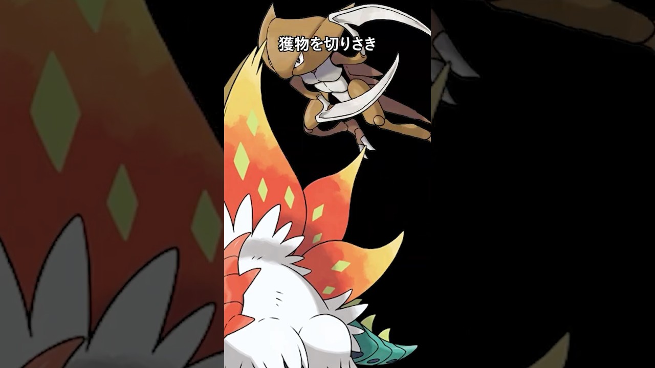 ポケモンの雑学3選Part340  #なぞはな #ポケモン #ポケモンカード #ポケモンオリジナルアニメ #ポケモンゲーム実況 #shorts #カブトプス #ココロモリ #ネッコアラ