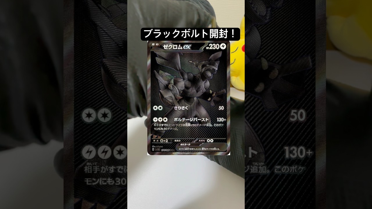 今日もゼクロム狙ってく！ブラックボルト開封！#ポケモンカード #ポケカ再販最新情報 #ポケカ #ポケモン #ポケカ開封 #ホワイトフレア #ロケット団の栄光 #shorts #shortvideo