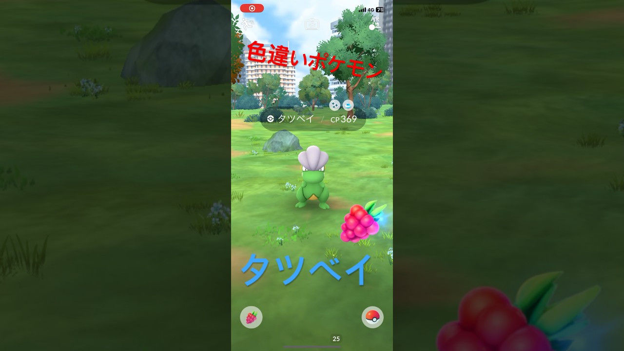 ポケモンGO タツベイ色違いに遭遇！ #ポケモン #pokemon #ポケモンgo #タツベイ #色違いポケモン