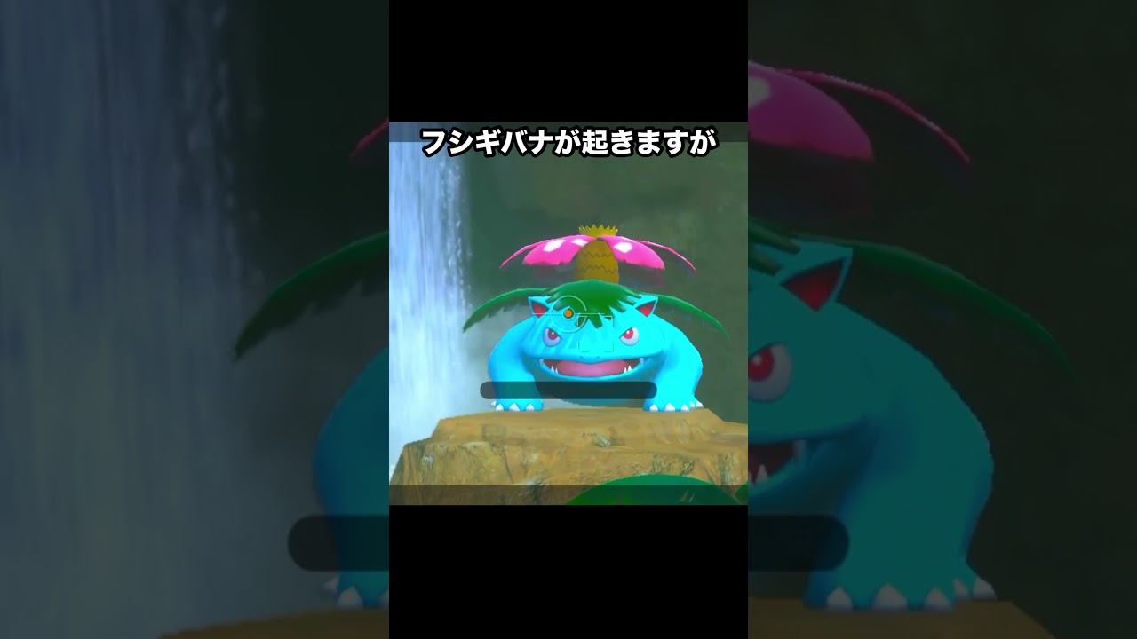 フシギバナに水やりするメッソン #ポケモン #newポケモンスナップ