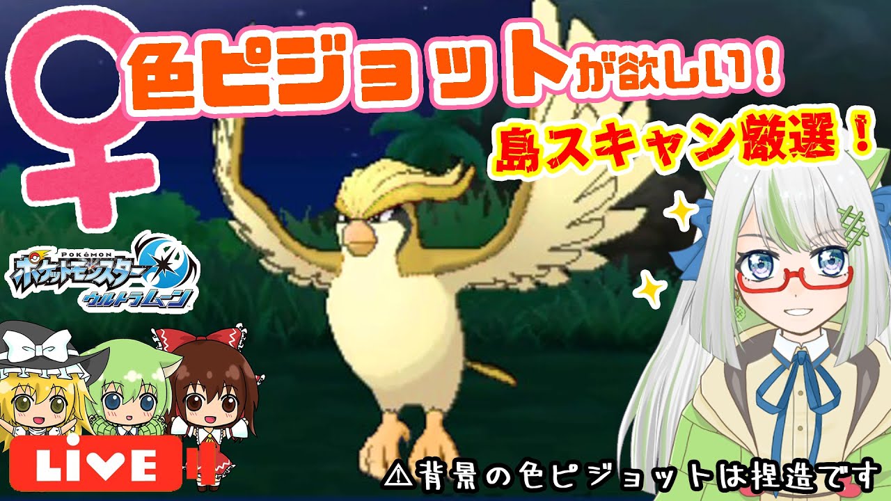 USUM島スキャンで♀色ピジョット狙っていきます！！＆ZA最新情報同時視聴🙌【ポケモン実況】 #USUM #ポケモン #色違い