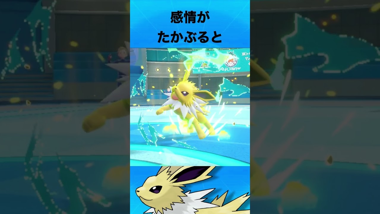 サンダースについて #ポケモン #サンダース #ブイズ