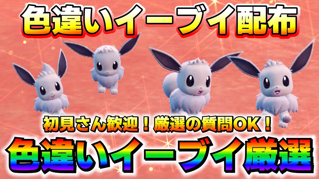 【色配布】イーブイ大量発生で厳選して配布！30分に1度の運試し！【#ポケモンSV】