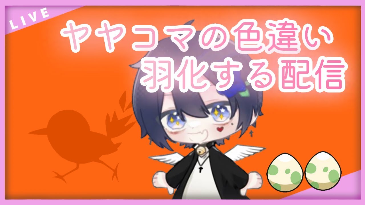 【ポケットモンスターバイオレット】動画で使う色違いヤヤコマ羽化す！【sv】