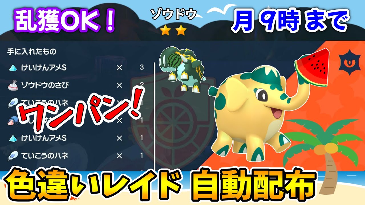 乱獲OK！ゾウドウ色違いレイド自動配布会！【ポケモンSV】