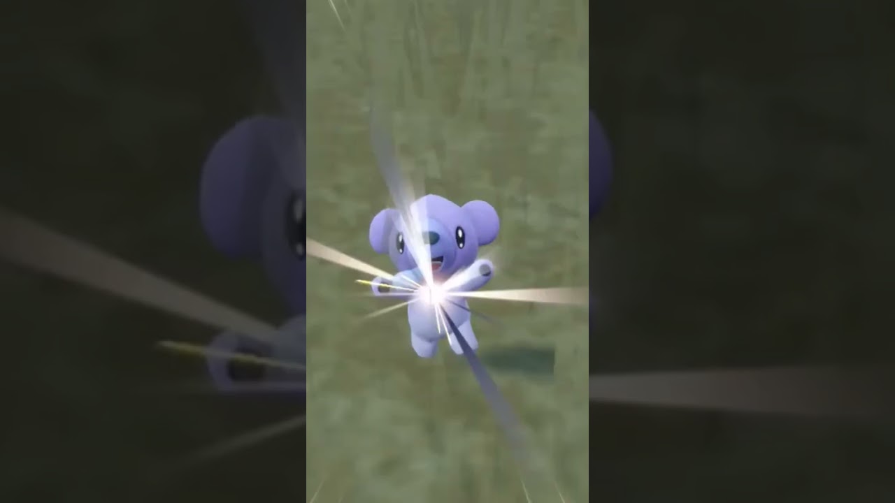 こおりポケモン大量発生のクマシュン色ちがい！紫もかわいい✨ # #ポケモンsv #ポケモン