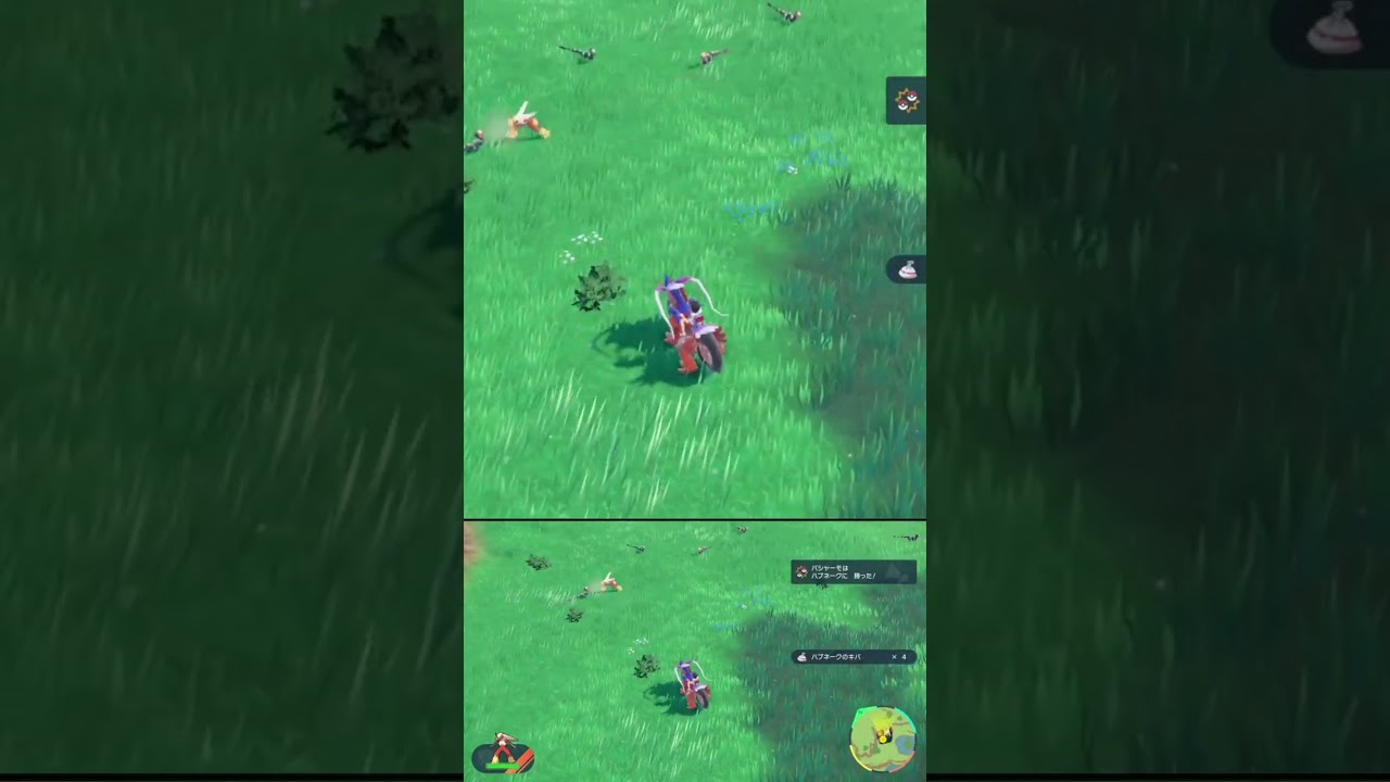 素材集め の邪魔をしないでくれ 色違い ハブネーク #shorts #ポケモンsv #碧の仮面 #碧の円盤