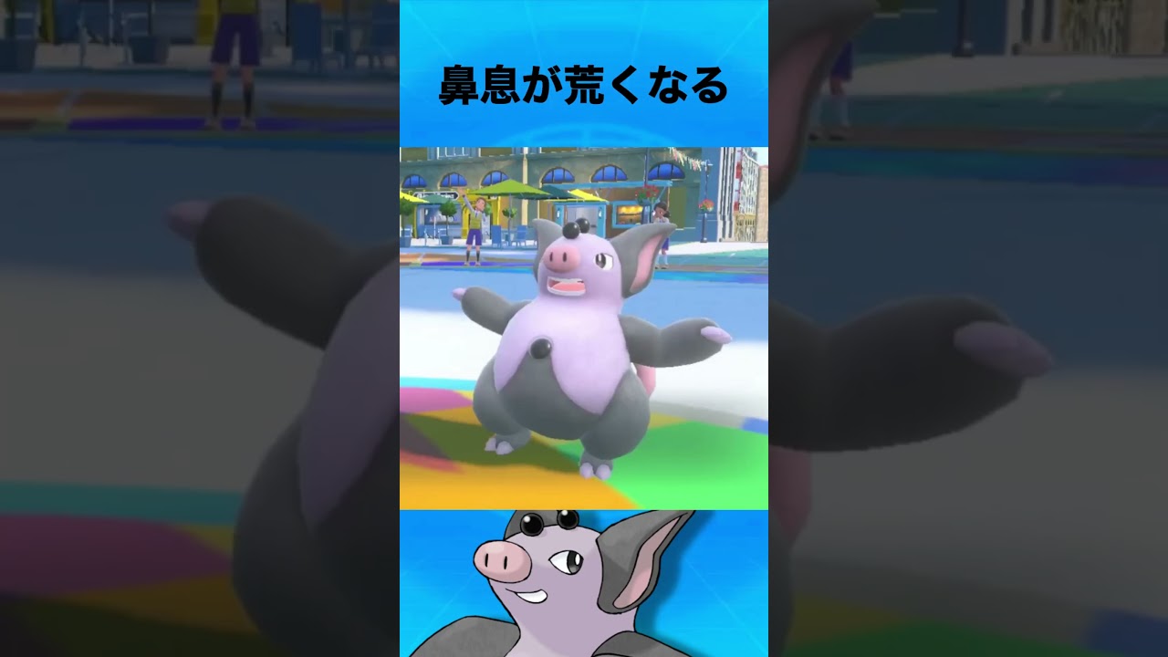 ブーピッグについて #ポケモン #ブーピッグ