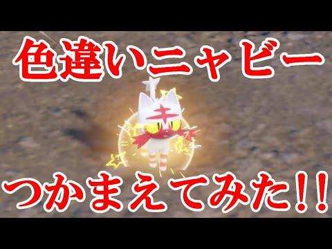 【ポケモンSV】色違いニャビーつかまえてみた！！