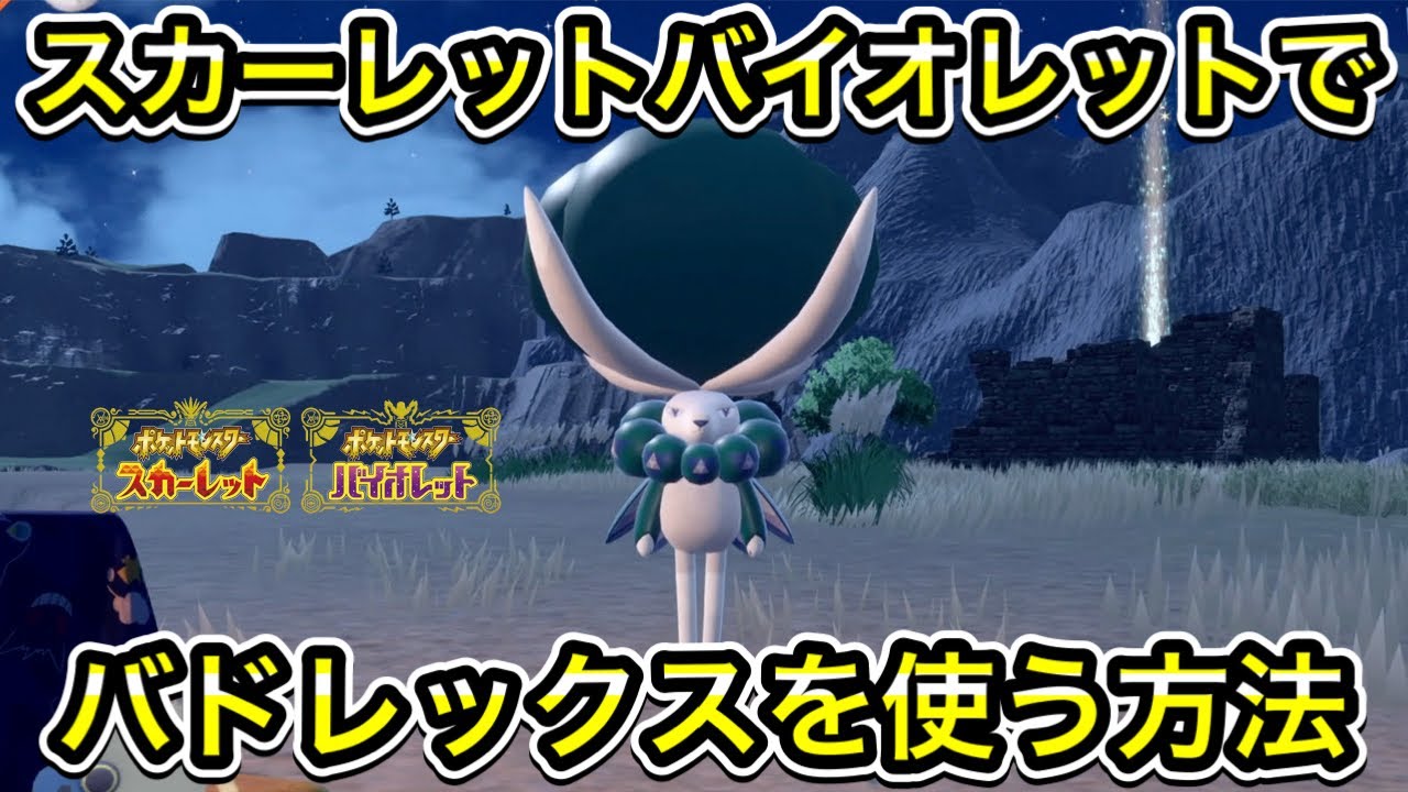 スカーレットバイオレットでバドレックスを使うやり方