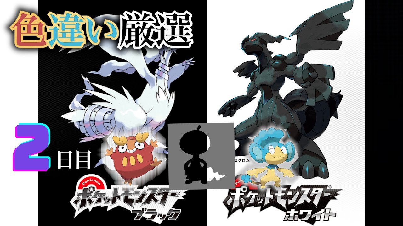 【ポケモンBW】4番道路(Shiny Pokémon)厳選(2日目) ~ヒヤップを添えて~