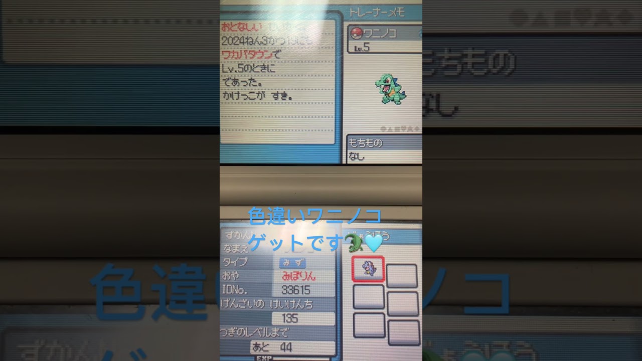 #ポケモン #ワニノコ #shinypokemon #pokemon #色違いポケモン #hgss