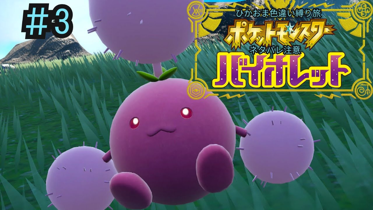 【ポケモンSV #3】ひかるおまもり様、今週もよろしくお願いします【ひかるおまもり色違い縛り旅】 　＃switch2　＃ポケモン　#ポケモンSV　ネタバレあり