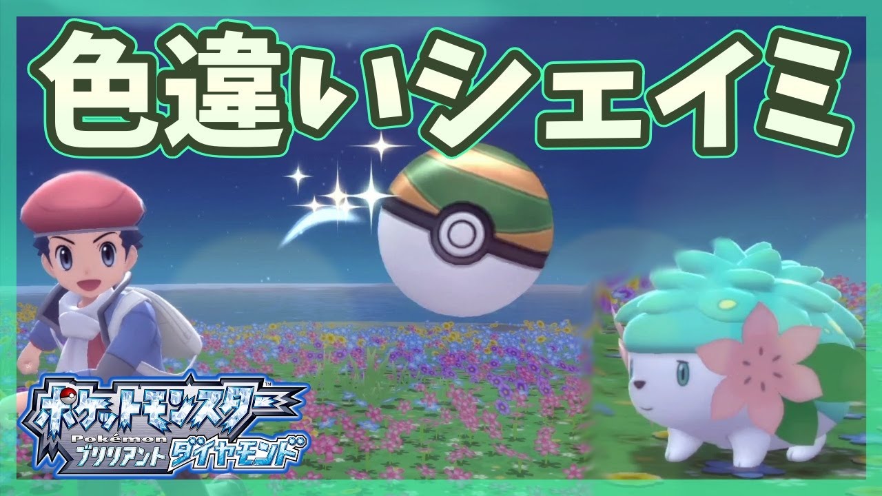 【色違い幻厳選 第2弾】色違いシェイミゲット!!フォルムチェンジや連れ歩きしてみた!!【ポケモンBDSP】