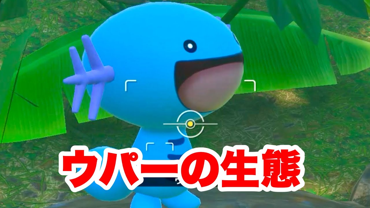 ウパーとアマカジが可愛いだけの動画