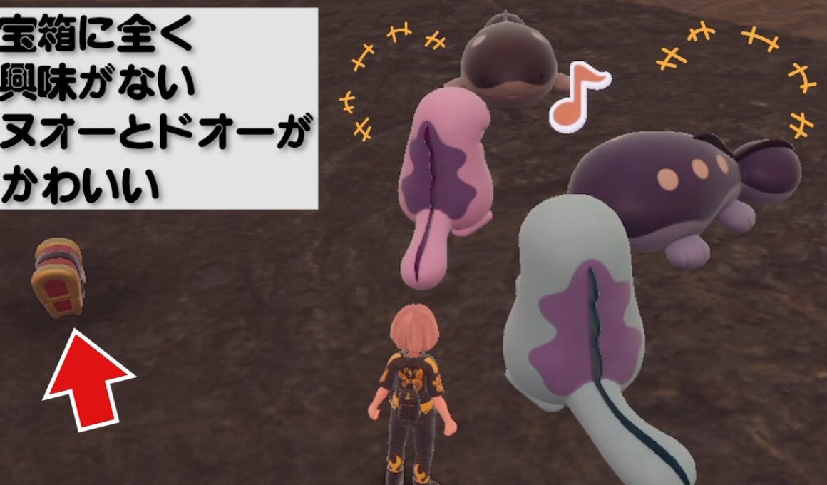 宝箱に全く興味がないヌオーとドオーが可愛い【ポケモンSV】