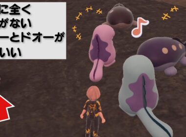 宝箱に全く興味がないヌオーとドオーが可愛い【ポケモンSV】