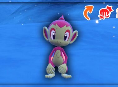 *LIVE* Shiny and Mark Hunting Chimchar! | Pokemon Scarlet Violet