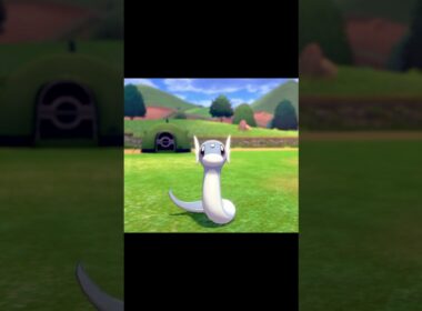 こちらに向かってやってくるミニリュウ　#Shorts
