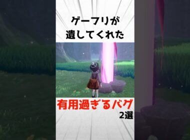 【剣盾】ゲーフリが残してくれた有用すぎるバグ2選