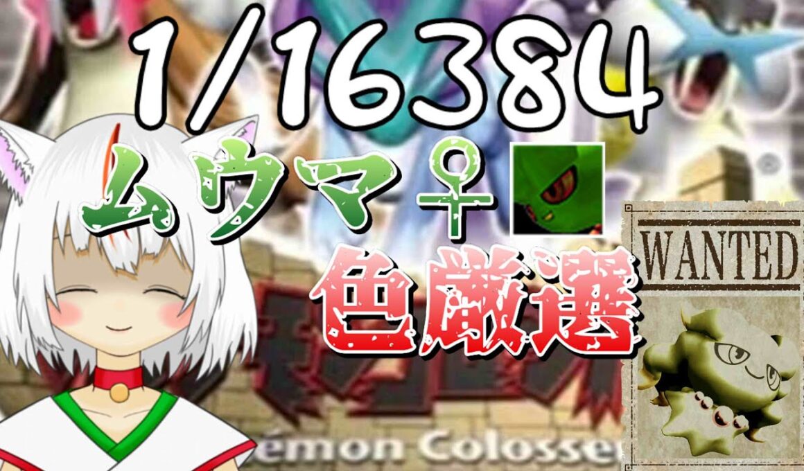 【#ポケモンコロシアム】1/16384を引くまでまったり♀ムウマ色厳選( ˘ω˘) #13【#GC】【Vtuber】