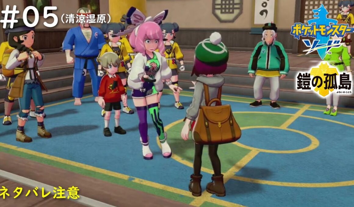【ポケモン剣DLC】#05　師匠、私がチャンピオンだって気付いてるんじゃない？（清涼湿原）【ポケットモンスター ソード DLC 鎧の孤島】