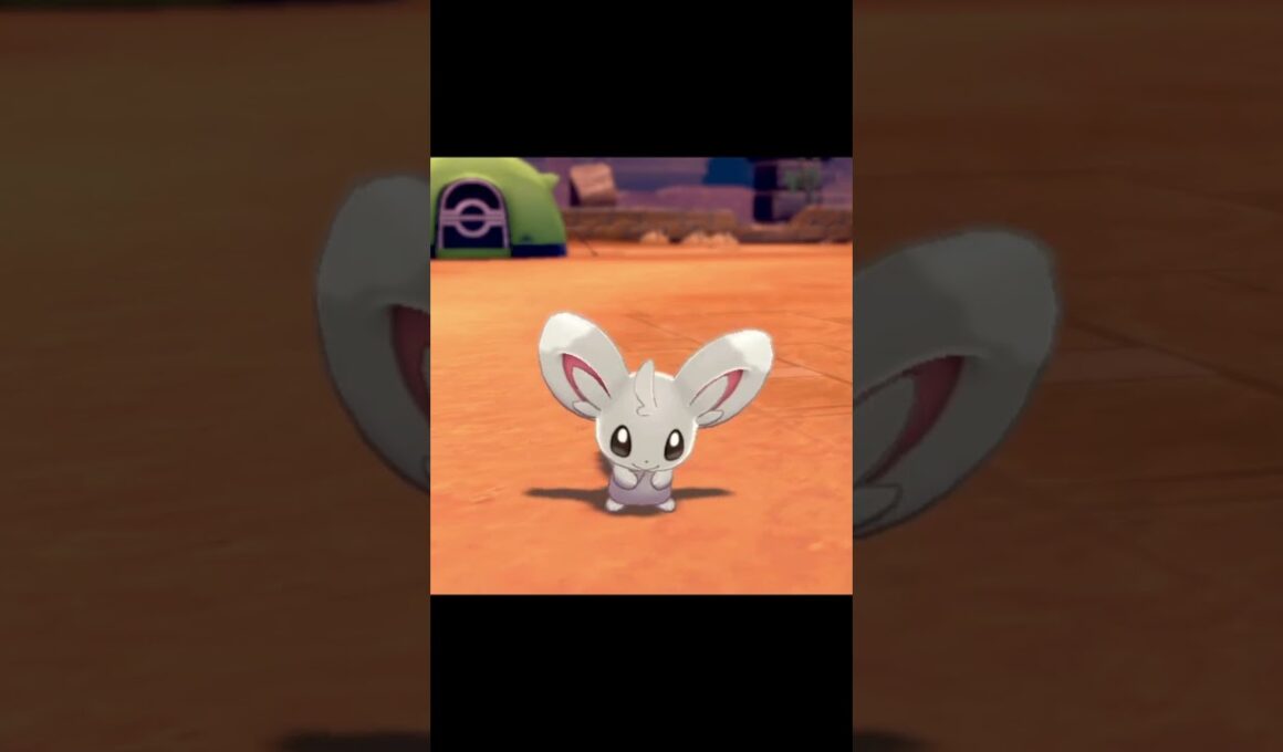 しっぽをふるチラーミィ　#Shorts