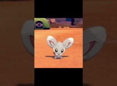 しっぽをふるチラーミィ　#Shorts