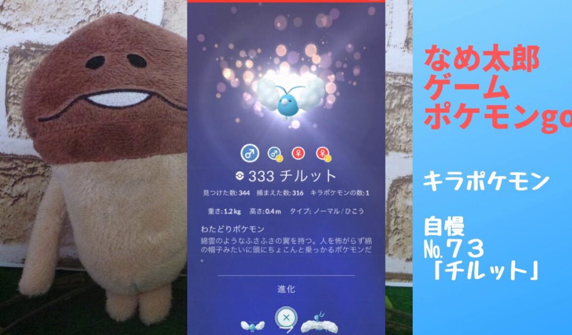 【ポケモンgo】なめ太郎のキラポケモン自慢コーナーナンバー７３、「チルット」