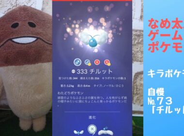 【ポケモンgo】なめ太郎のキラポケモン自慢コーナーナンバー７３、「チルット」