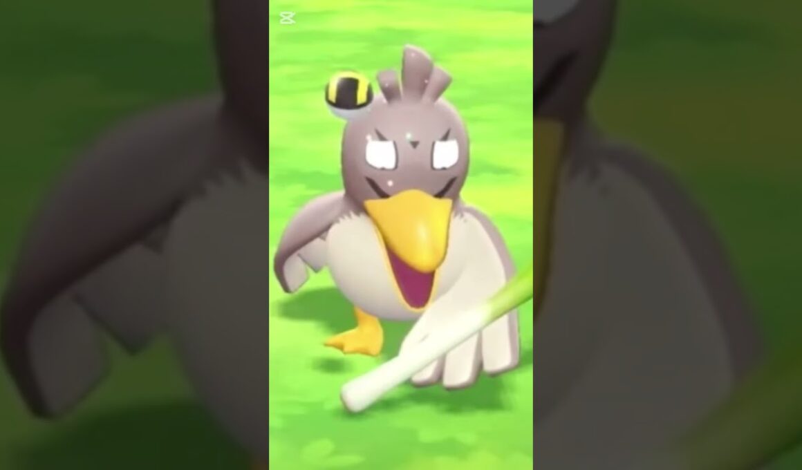 色違いカモネギ探し中にw #ポケモン #ピカブイ