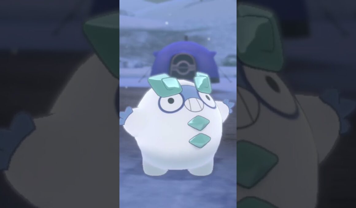 ガラル ダルマッカ Galar Darumaka【ポケモン剣盾】